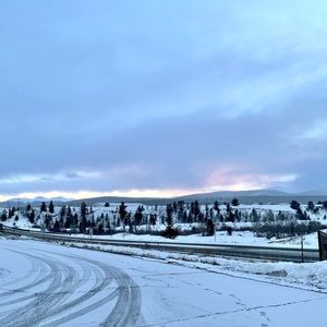 Meet your Posher, Weston